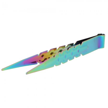 Coal tongs stainless steel Rainbow 22 cm AO